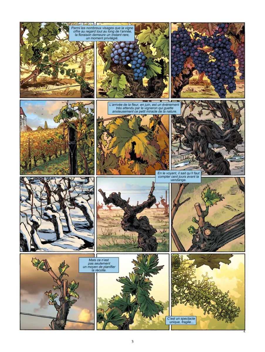 Cliquez pour agrandir